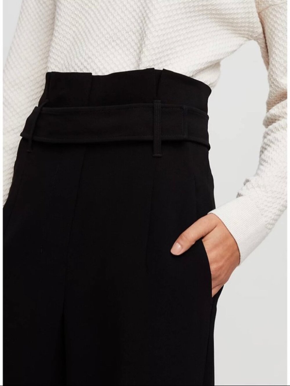 Aritzia Babaton Jermaine Pant - Picture 3 of 6